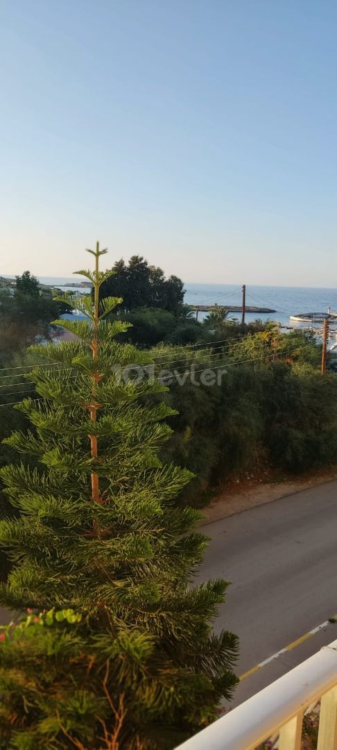 تخت برای فروش in Girne Merkez, گیرنه