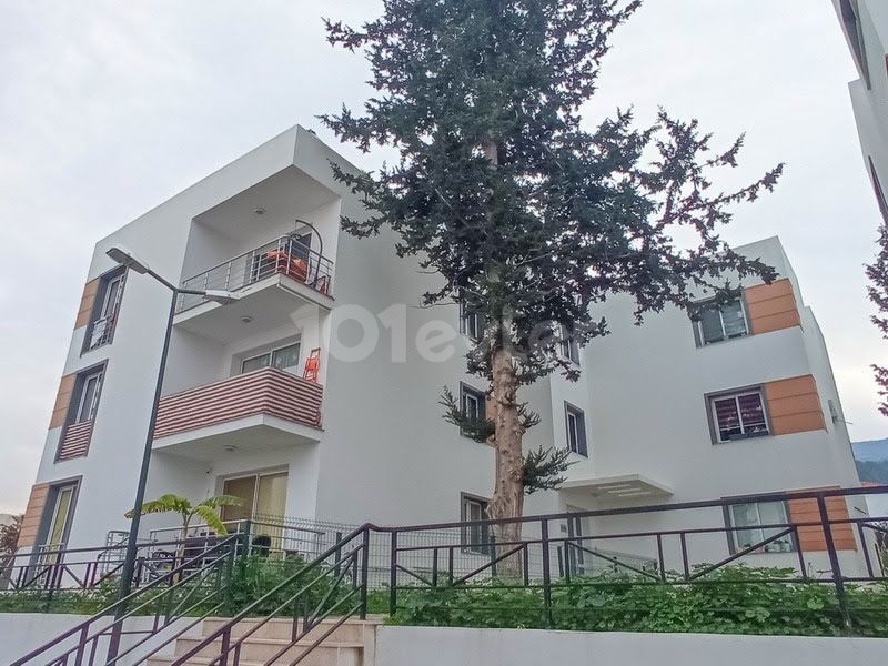 2+1 APARTMENT FOR SALE IN A COMPLEX WITH POOL IN GİRNE ALSNCAKTA