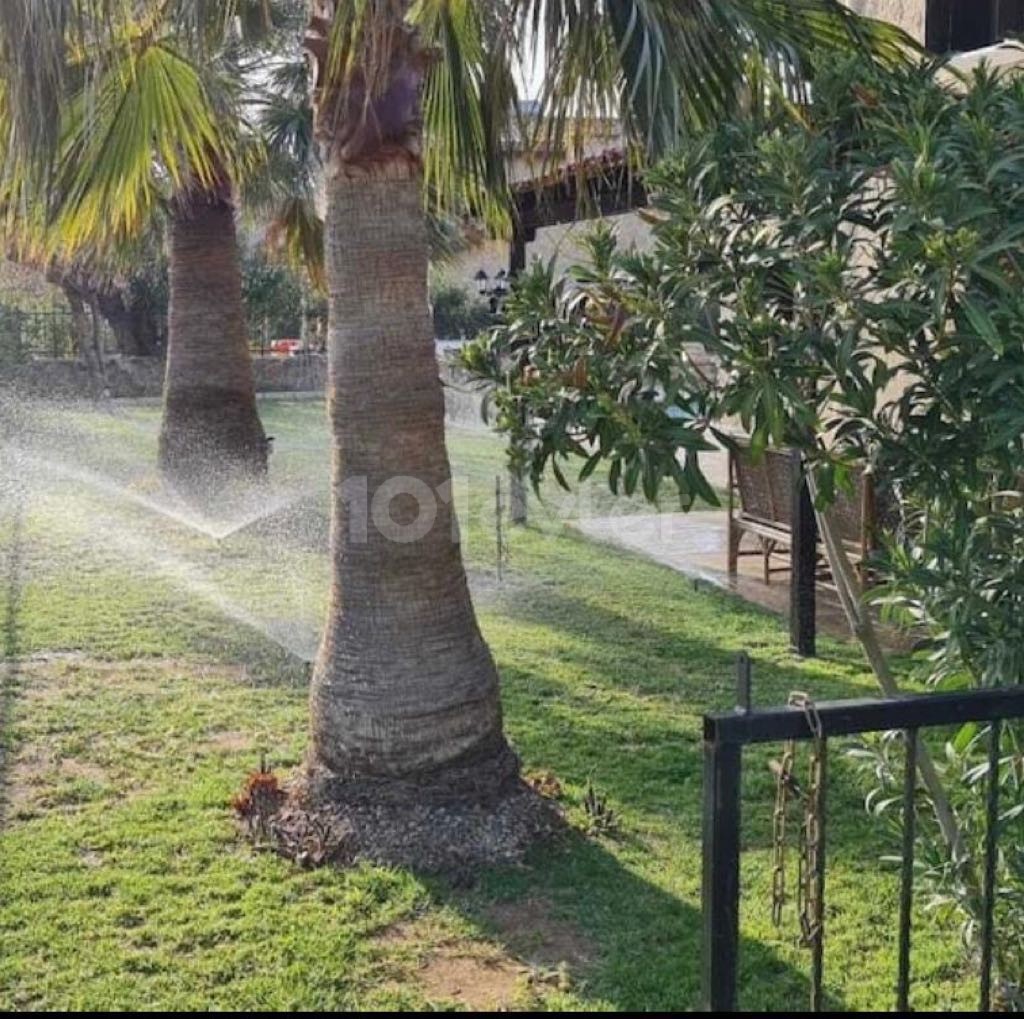 Girne alagadi bölgesinde günlük kiralık villa