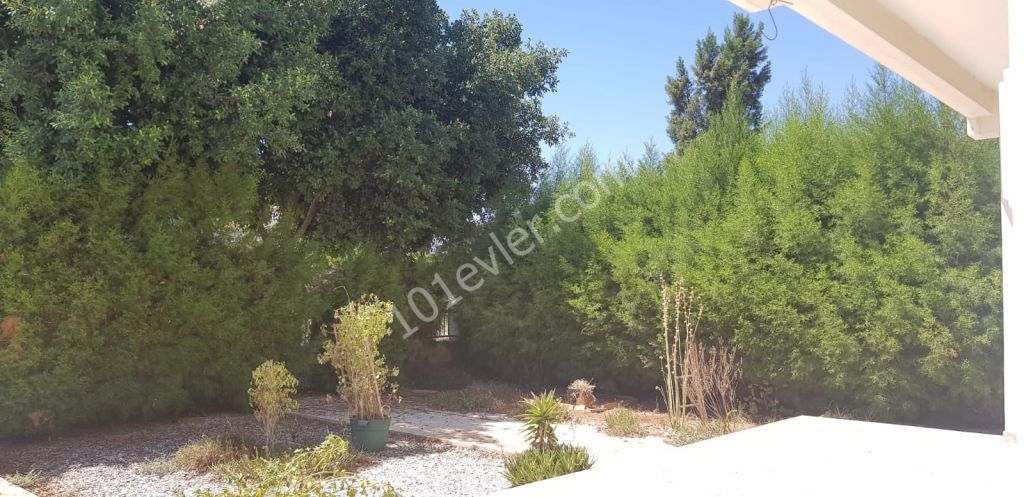 Semi Detached To Rent in Hamitköy, Nicosia