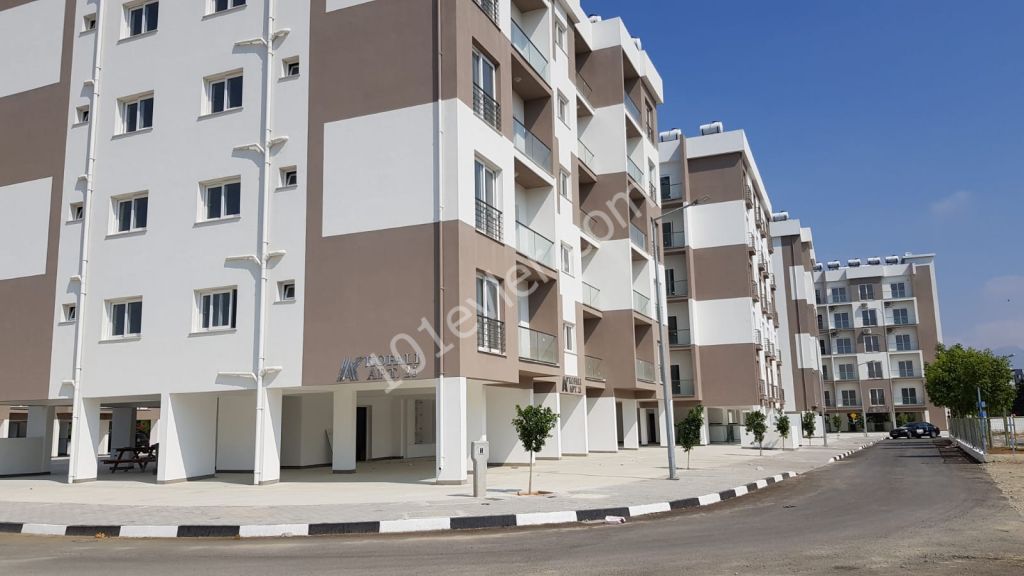 Flat To Rent in Küçük Kaymaklı, Nicosia