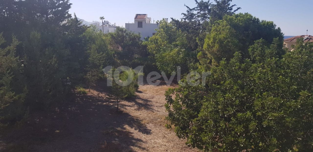 Villa for Sale in Çatalköy Area!!!