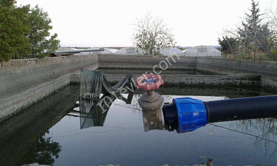 Поле Продается in Güzelyurt Merkez, Гюзельюрт