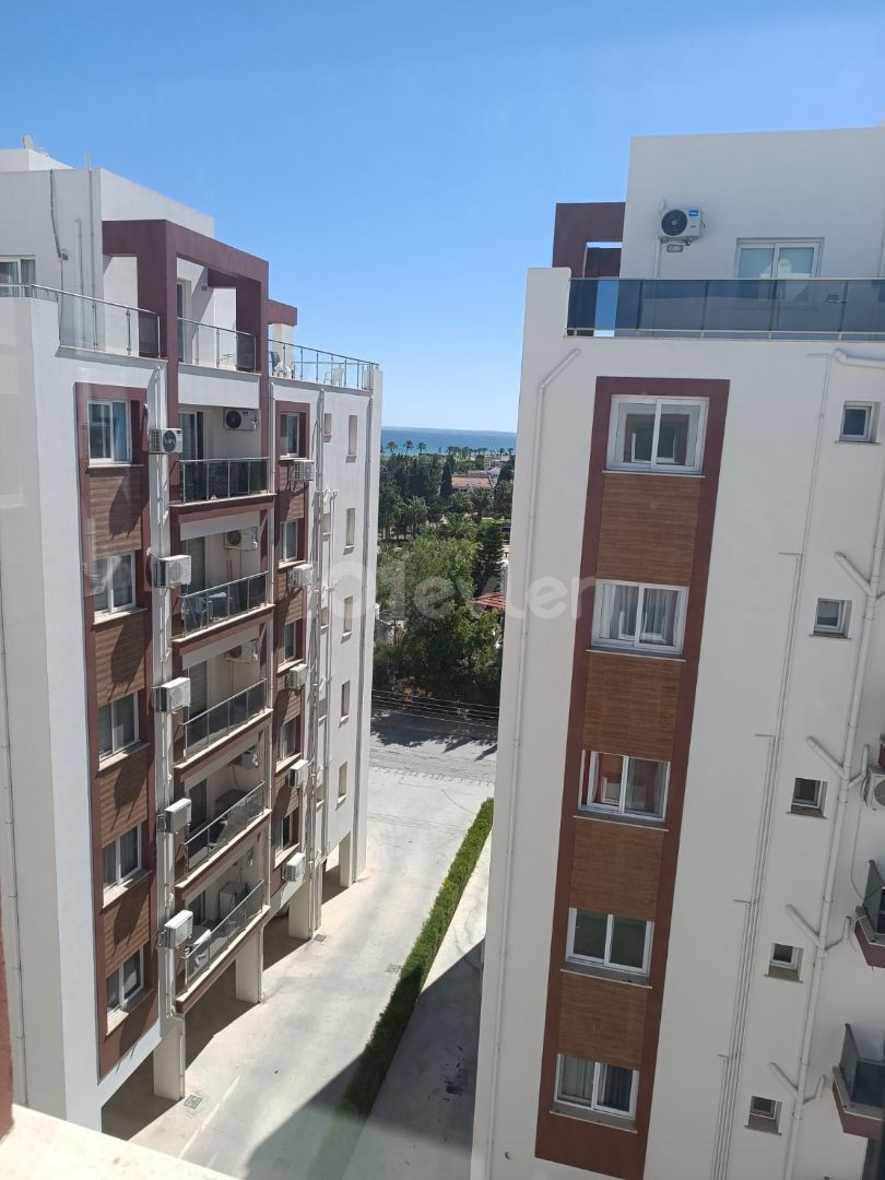 seashell longbeach de lux 1+1 sıfır daire