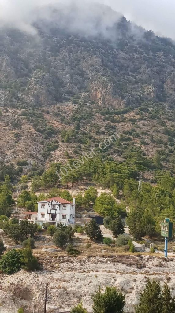 KKTC GIRNE BOGAZ'DA 30 DÖNÜM ARAZI ICERISINDE LUX VILLA.TURK KOCANLI. 1300000 STG