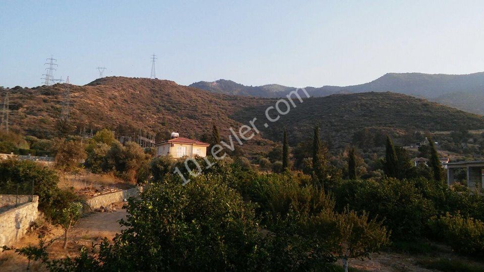 Flat To Rent in Alsancak, Kyrenia