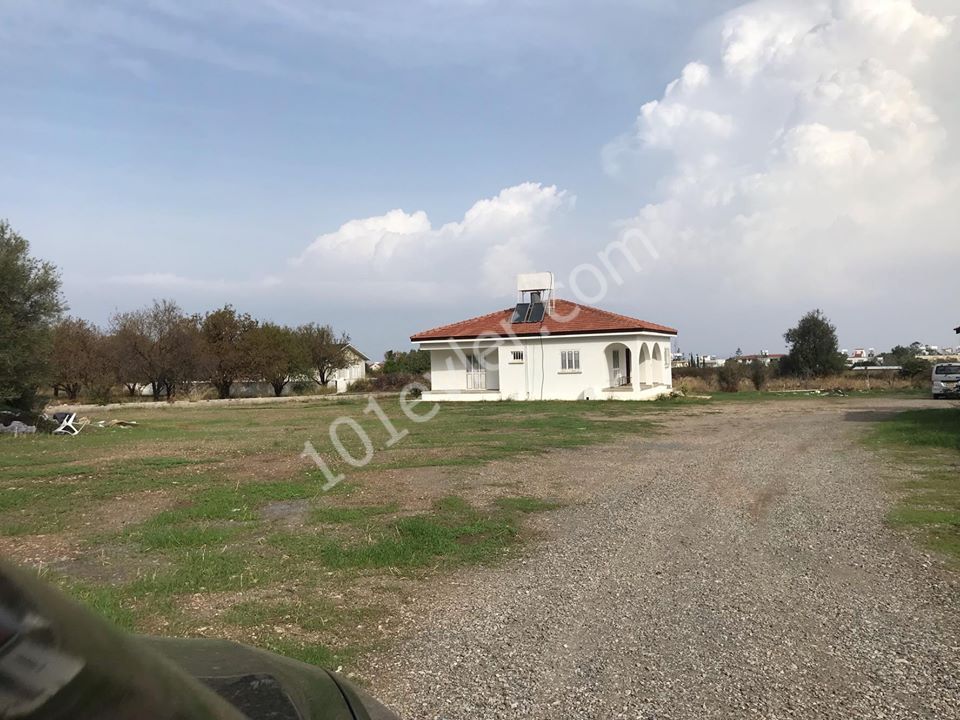 2 + 1 120 m2 detached house for rent in Alsancak 2 acres of land large rooms fireplace sea view peaceful living area... ** 