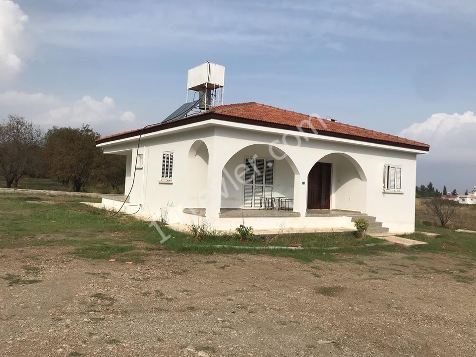 2 + 1 120 m2 detached house for rent in Alsancak 2 acres of land large rooms fireplace sea view peaceful living area... ** 