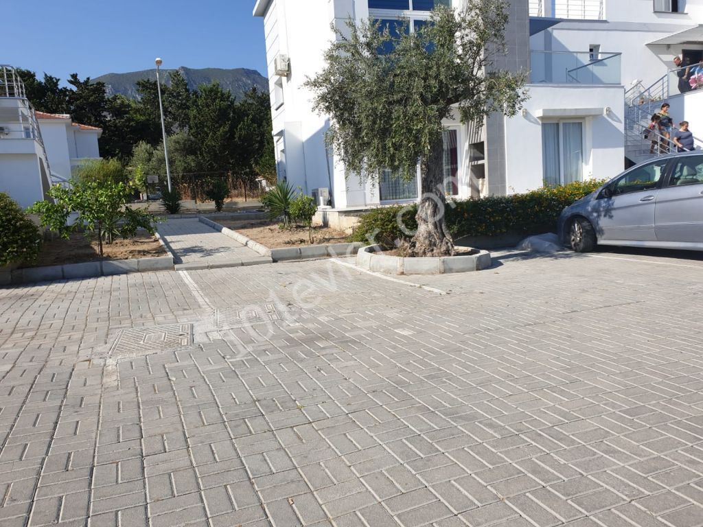 girne karaoğlanoğlu s bölgesinde havuzlu sitede lüks eşyalı kiralık 2+1 daire   05338445618