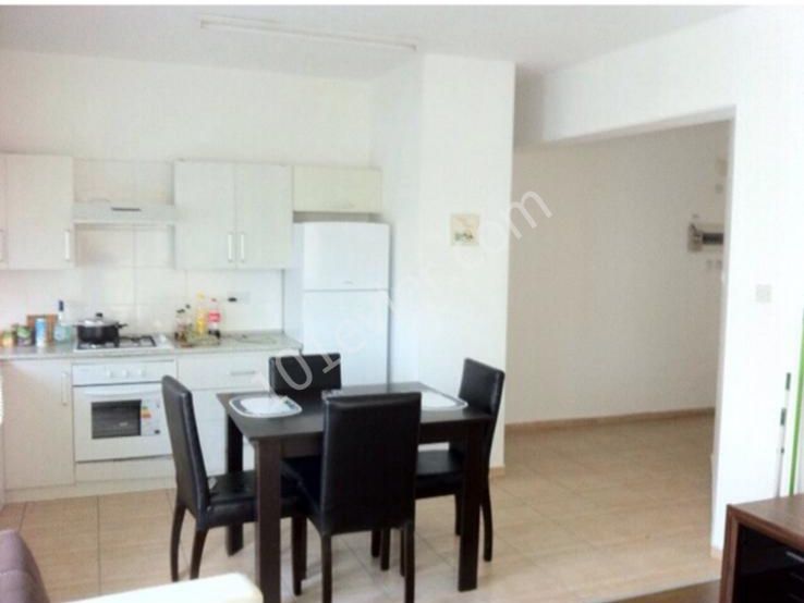 2 + 1 apartment on the site with a fully furnished pool for rent in the center of Kyrenia.. it is located in the most central part of the city, 20 meters from the bus stops.. 05338445618 ** 