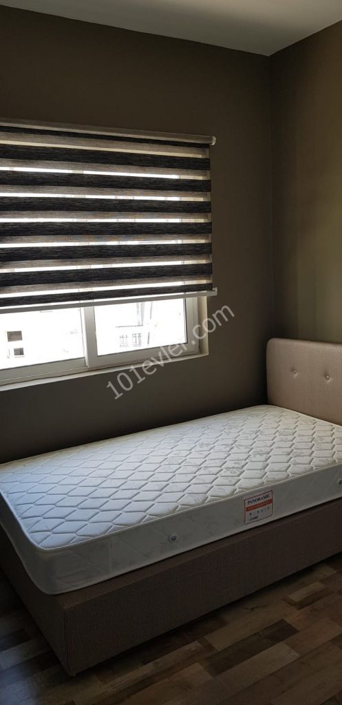 girne merkezde aslanlı villada full eşyalı kiralık 2+1 lüks eşyalı daire..   05338445618