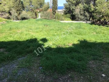 girne amerikan üniversitesine yürüyüş mesafesinde, havuzlu, güvenlikli sitede deniz manzaralı, geniş bahçeli, full eşyalı kiralık 2+1 daire   05338445618