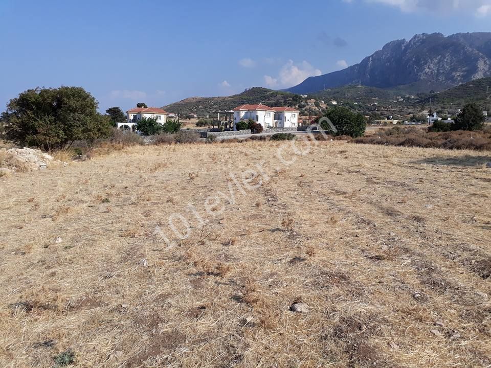 Field For Sale in Alsancak, Kyrenia