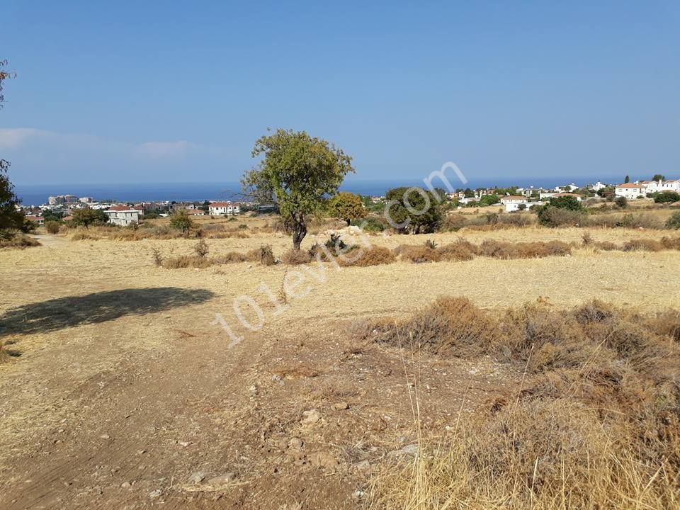 Field For Sale in Alsancak, Kyrenia