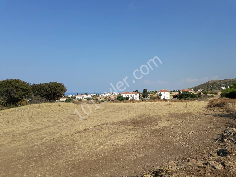 Field For Sale in Alsancak, Kyrenia