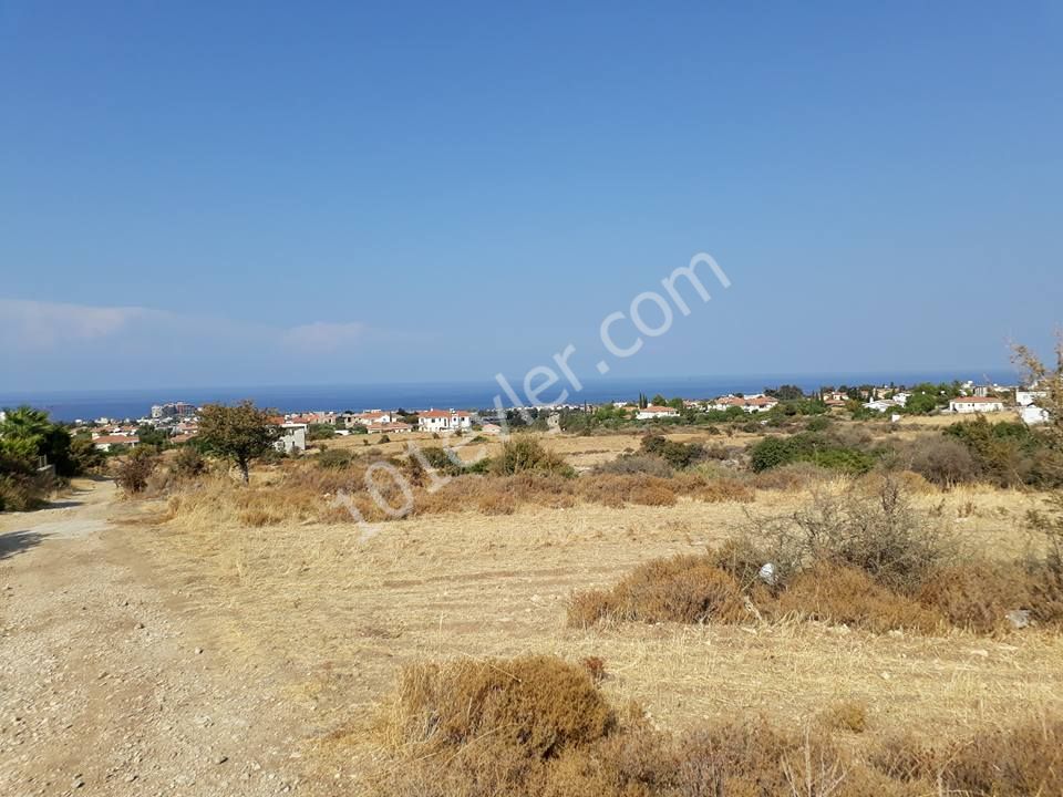 Field For Sale in Alsancak, Kyrenia