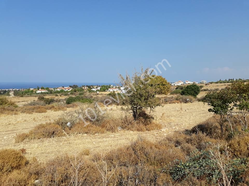 Field For Sale in Alsancak, Kyrenia