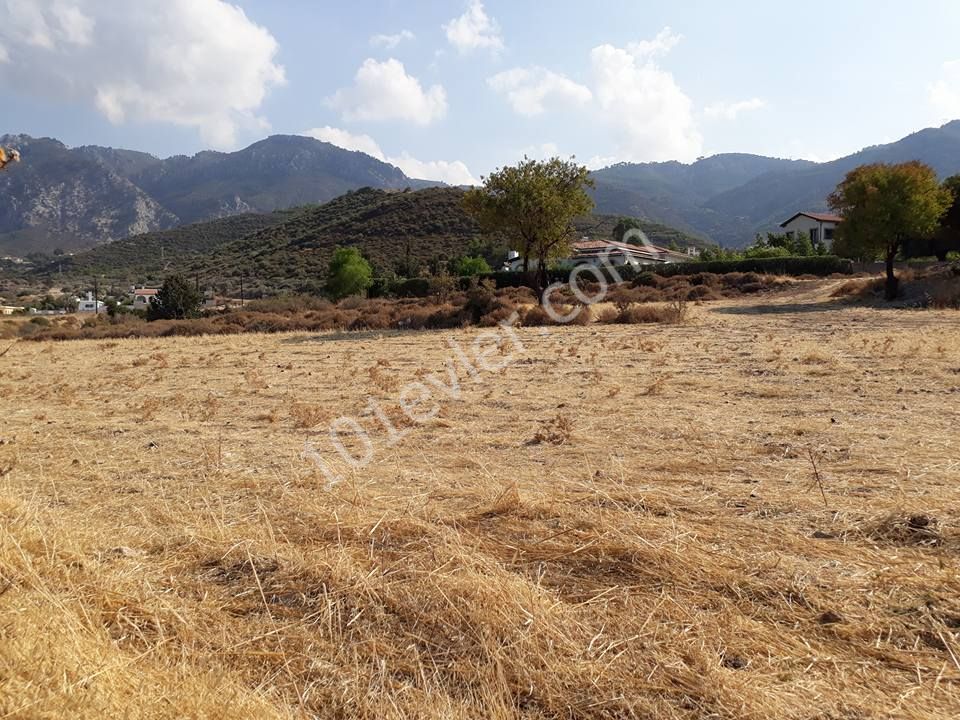 Field For Sale in Alsancak, Kyrenia