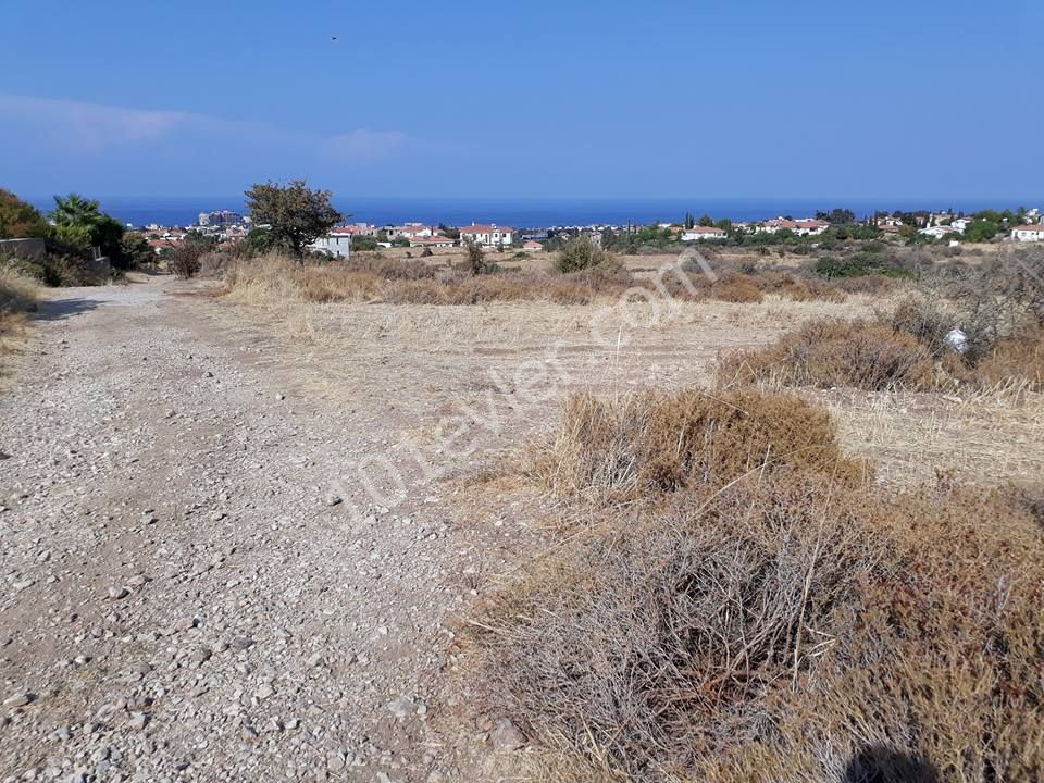 Field For Sale in Alsancak, Kyrenia