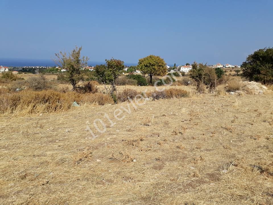 Field For Sale in Alsancak, Kyrenia