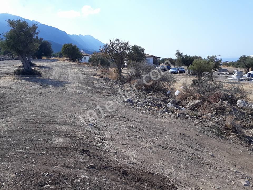 Field For Sale in Alsancak, Kyrenia