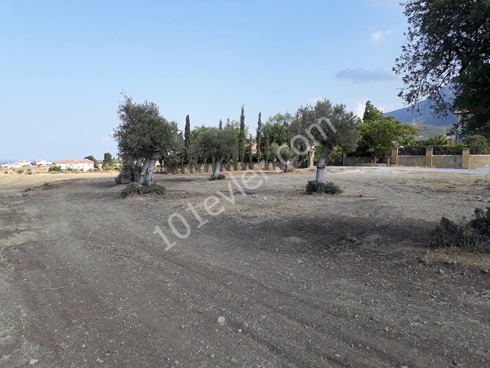 Field For Sale in Alsancak, Kyrenia