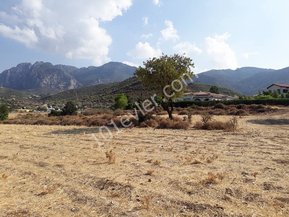 Field For Sale in Alsancak, Kyrenia