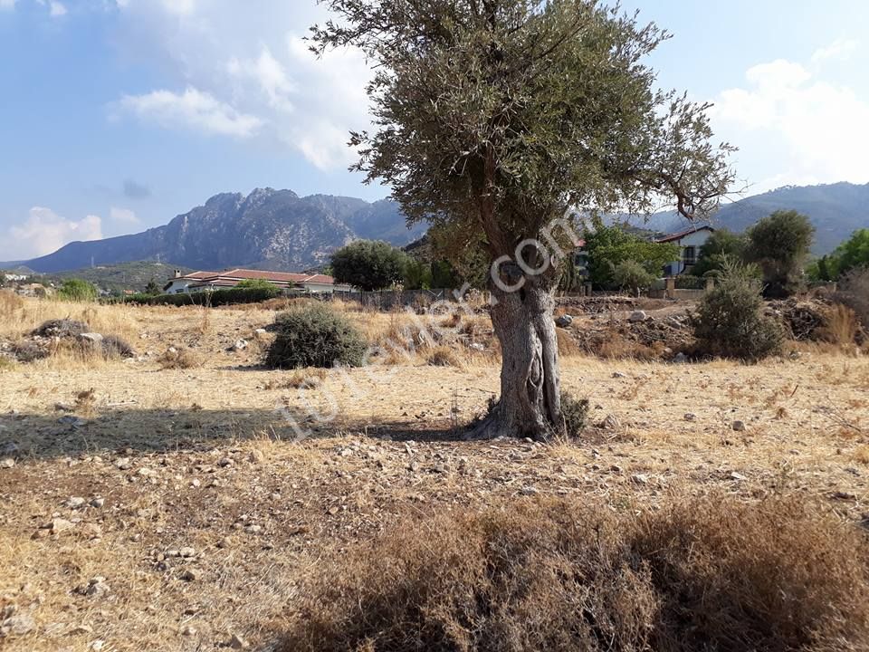 Field For Sale in Alsancak, Kyrenia