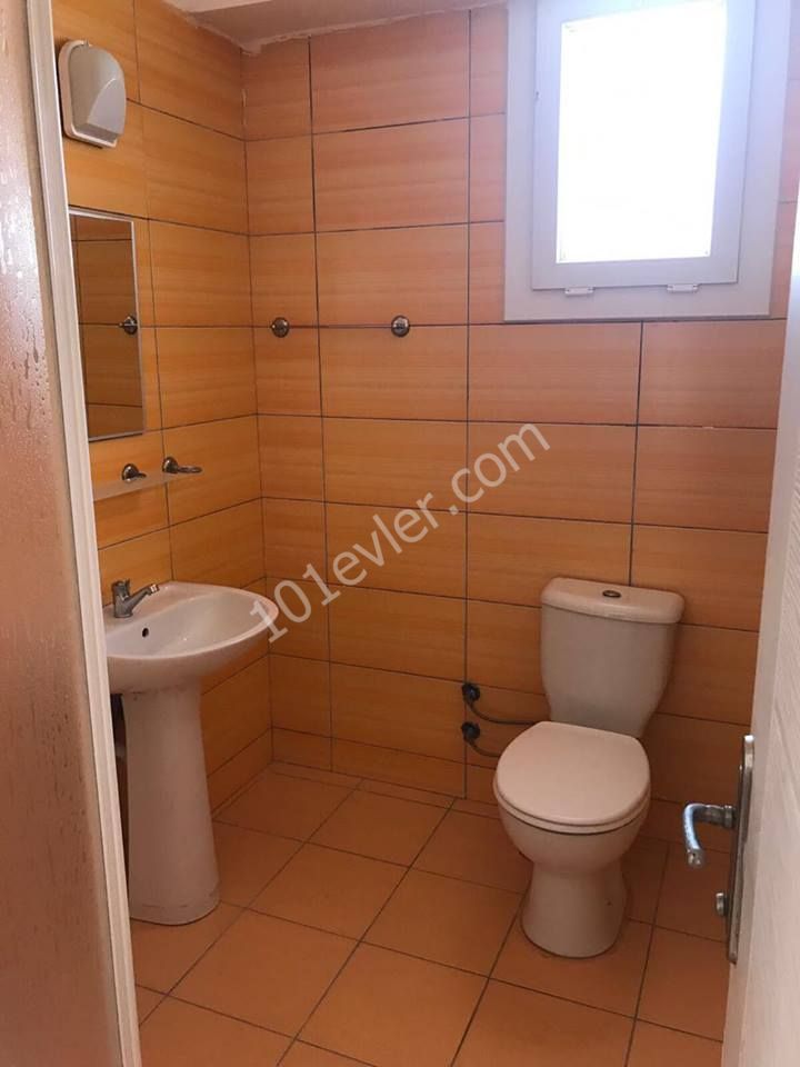 girne merkezde lord palace hotelin karşısında kiralık 2+1(400 pound)  ve 1+1(350 pound) full eşyalı daireler 6 ay veya bir yıllık peşin.. 05338445618