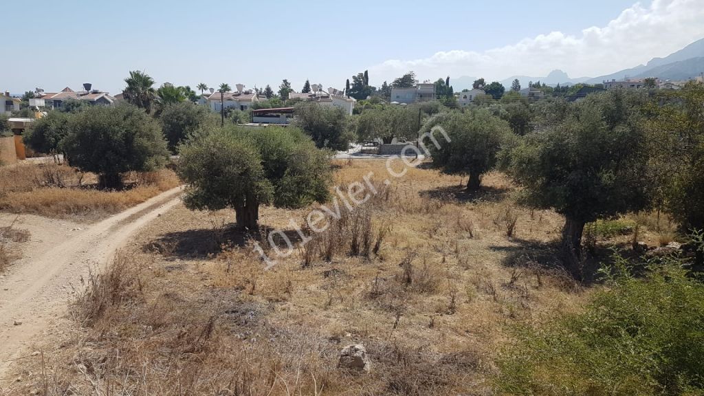 2908m2 Land in Ozankoy - Girne Deeds Ready to Transfer - Exchange LAND Ref: OY537L