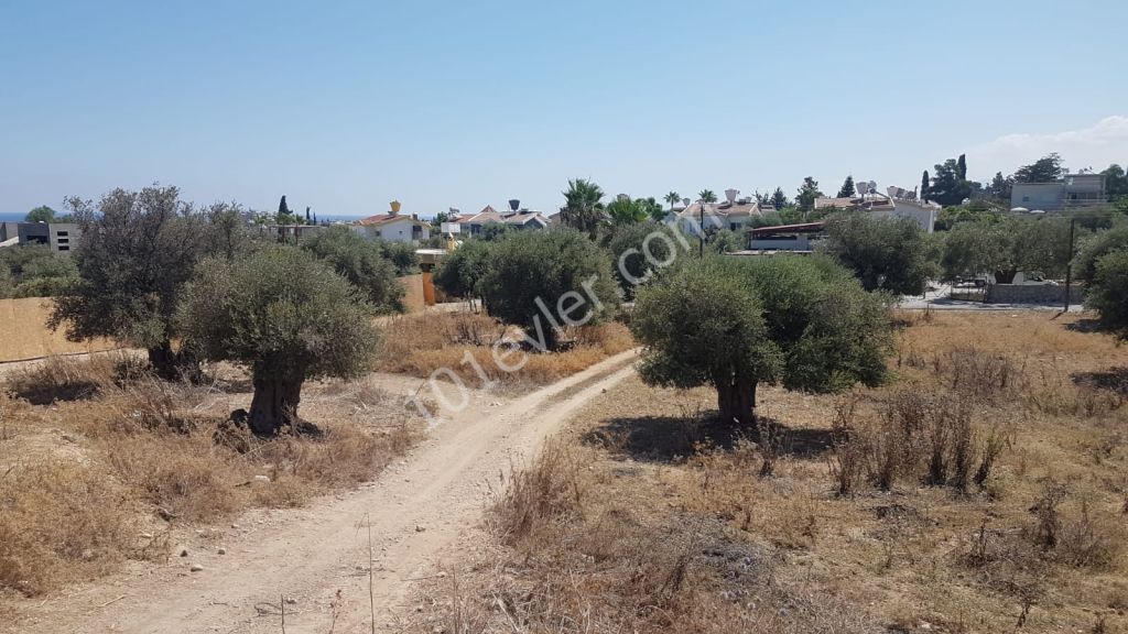 2908m2 Land in Ozankoy - Girne Deeds Ready to Transfer - Exchange LAND Ref: OY537L