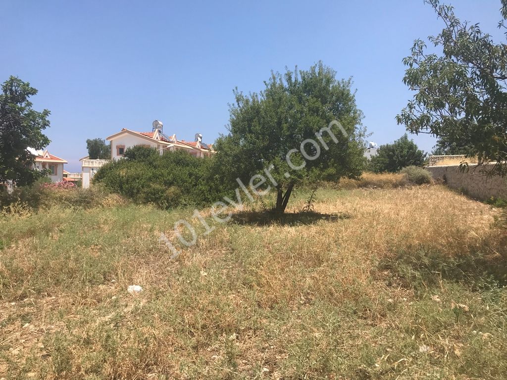 Large plot  8 Dönüm 1 Evlek 700 Ayakkare On Tarmaced Road, GREAT FOR DEVELOPMENT Shops and Homes! Ref: EE580L