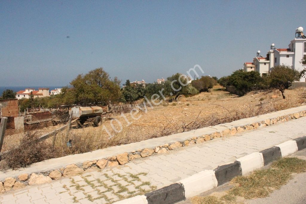 Large plot  8 Dönüm 1 Evlek 700 Ayakkare On Tarmaced Road, GREAT FOR DEVELOPMENT Shops and Homes! Ref: EE580L