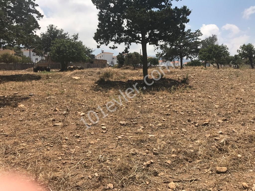 Large plot  8 Dönüm 1 Evlek 700 Ayakkare On Tarmaced Road, GREAT FOR DEVELOPMENT Shops and Homes! Ref: EE580L