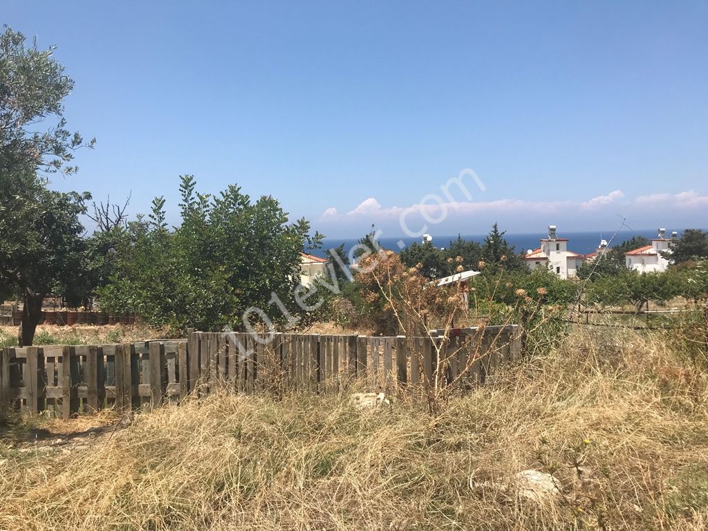 Large plot  8 Dönüm 1 Evlek 700 Ayakkare On Tarmaced Road, GREAT FOR DEVELOPMENT Shops and Homes! Ref: EE580L