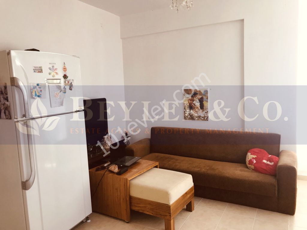 2 + 1 partly furnished, city center apartment