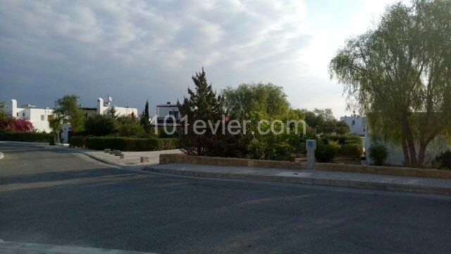 3+1 Fully furnished VIlla for rent, Tatlisu. Sugar Cube site. ** 