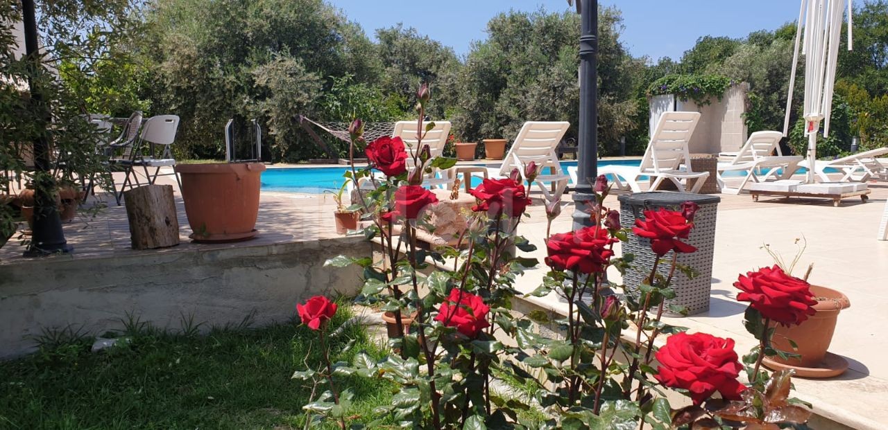 Ultra luxury, furnished and magnificently beautiful VILLA with pool for SALE in Doğanköy, Kyrenia