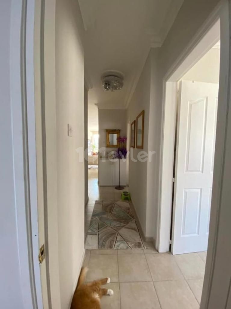 3+1 APARTMENT FOR SALE IN GIRNE CENTER