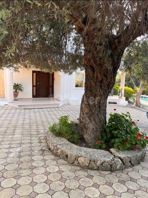 DO NOT MISS THIS OPPORTUNITY --- AMAZING Villa for the Price of 1400m2 Land -