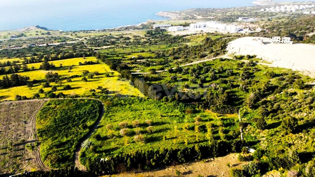 villa plots with sea view in esentepe