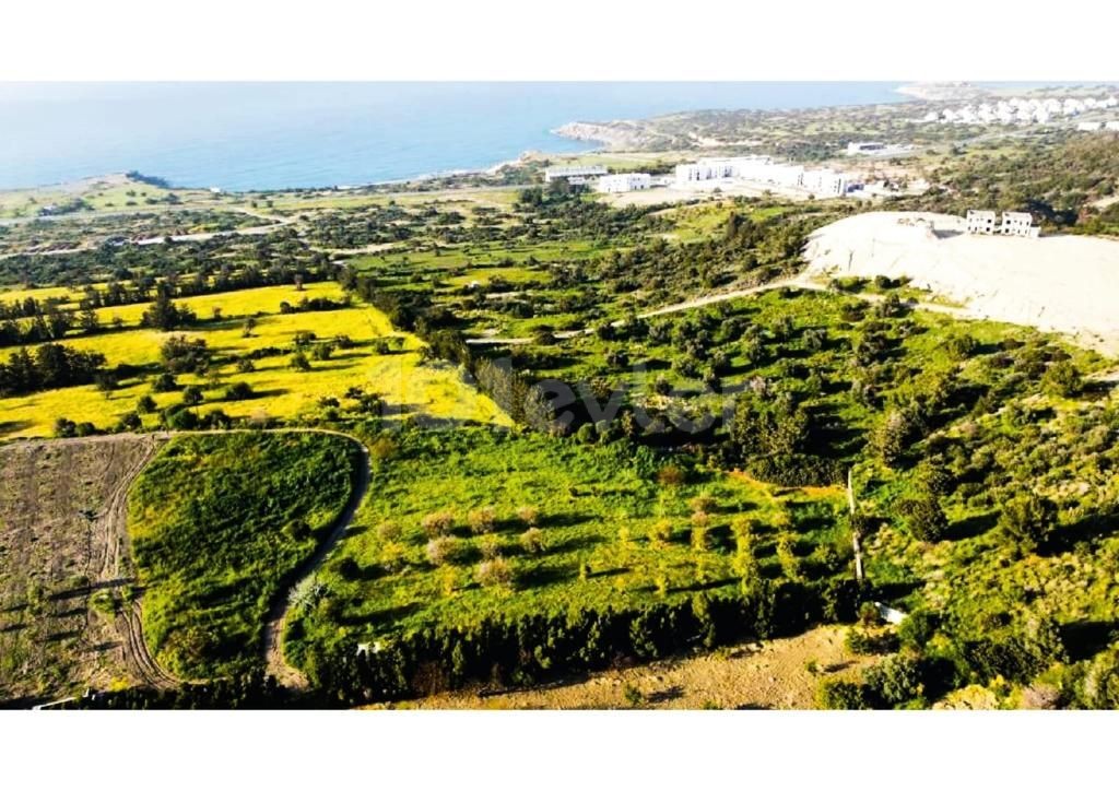 READY PARCELS FOR SALE ABOVE THE BEACH IN ESENTEPE / INFRASTRUCTURE IS READY AND ASPHALT IS PILLED / EACH PLOT SEPARATE DEED / 700mt TO THE SEA !!!