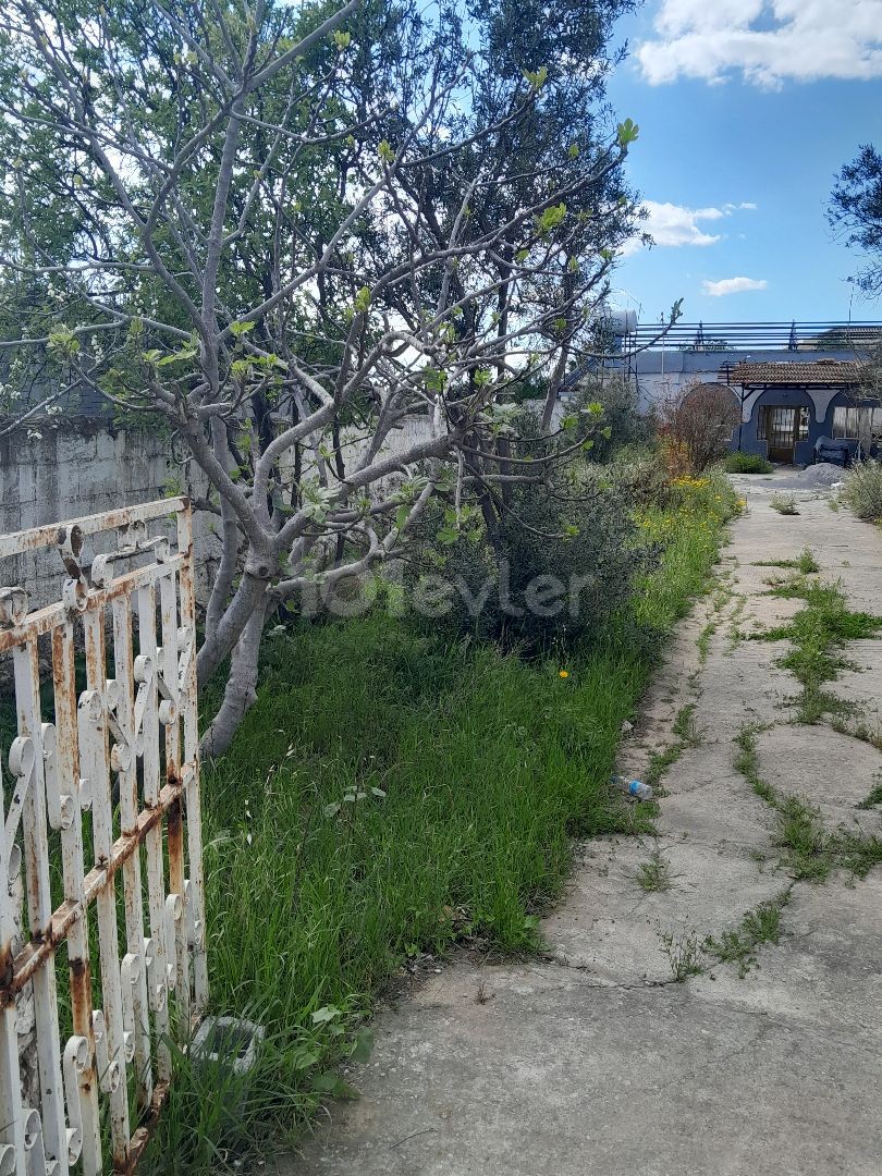 OLD ADOBE HOUSE FOR SALE AT LAND PRICE