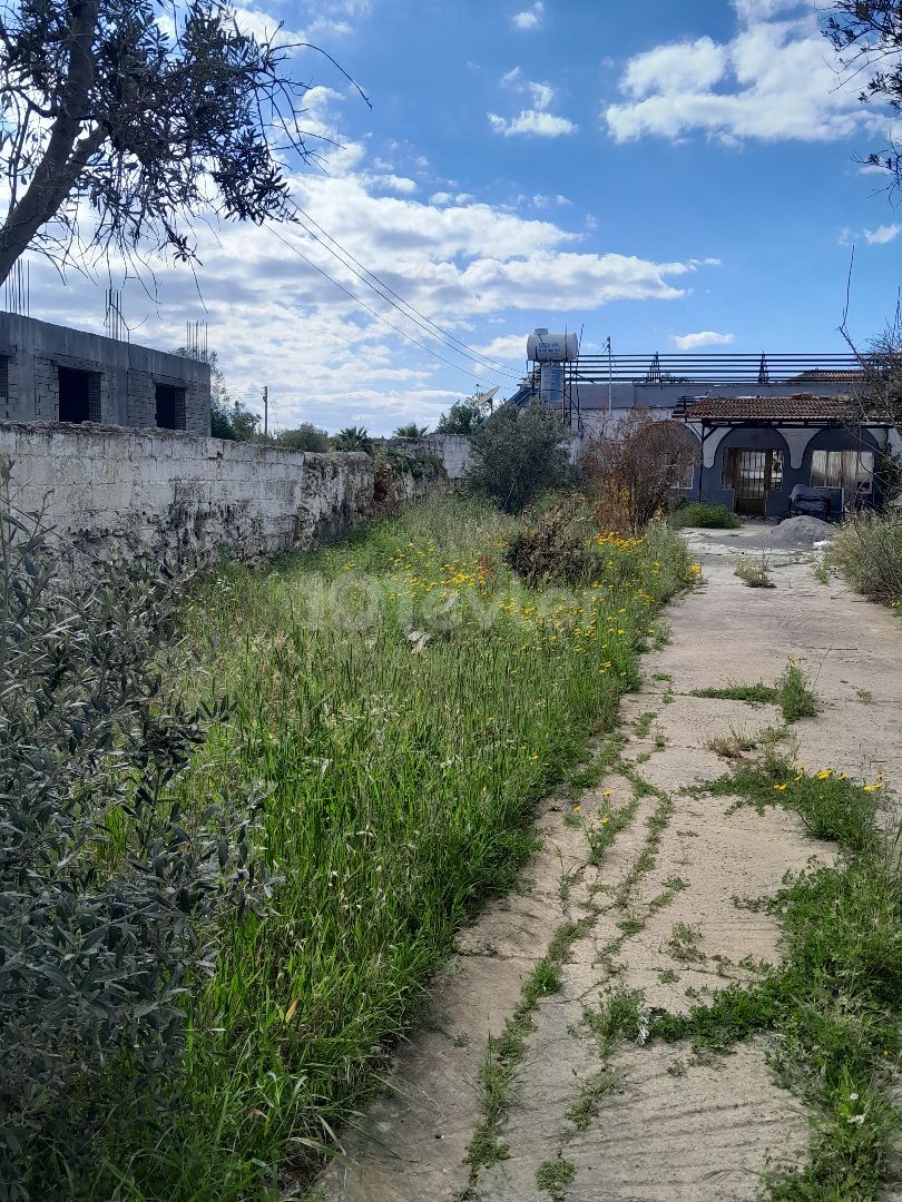 OLD ADOBE HOUSE FOR SALE AT LAND PRICE