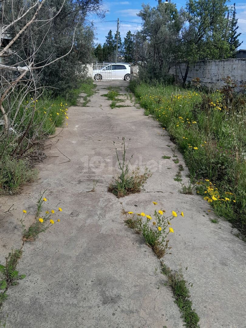 OLD ADOBE HOUSE FOR SALE AT LAND PRICE