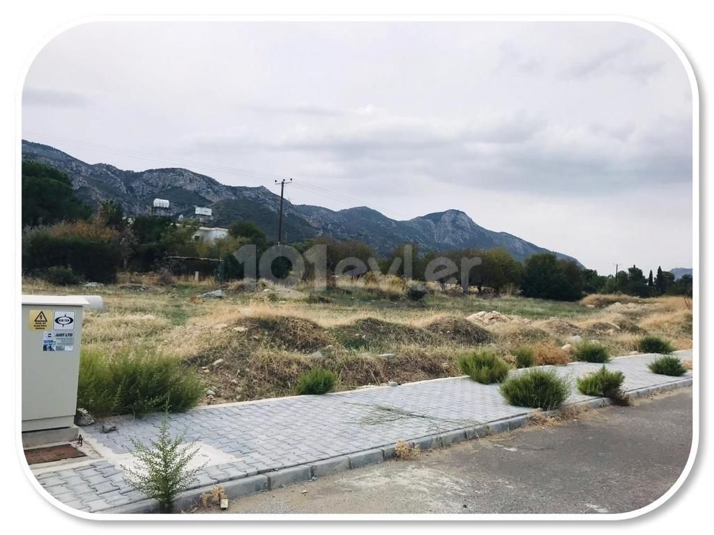 With Limited Availability Of Land In Catalkoy, This Plot Of Land Is Most Valuable and Located In A Very Desirable Location Close To The Well Known Olive Tree Hotel. Starting @