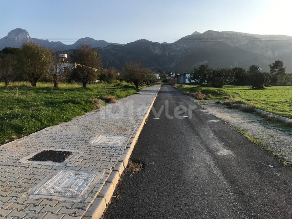 با توجه به دسترسی محدود به زمین در Catalkoy، این زمین ها بسیار ارزشمند هستند و در یک مکان بسیار مطلوب نزدیک به هتل معروف Olive Tree واقع شده اند.  آغاز @