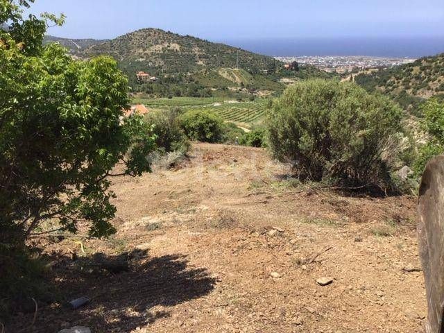 Ein seltenes 3-Dekaden-Land rund um Gillham Vineyard mit spektakulärem Meerblick auf das seltene Mittelmeer und seine Bergkette in Ilgaz