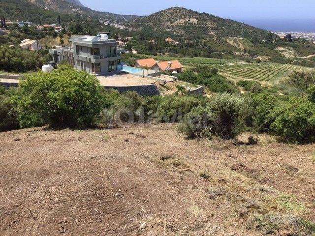 Ein seltenes 3-Dekaden-Land rund um Gillham Vineyard mit spektakulärem Meerblick auf das seltene Mittelmeer und seine Bergkette in Ilgaz