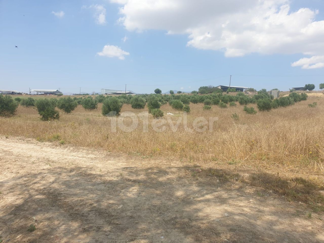 Land for Sale in Nicosia, Meric Region Open for Development